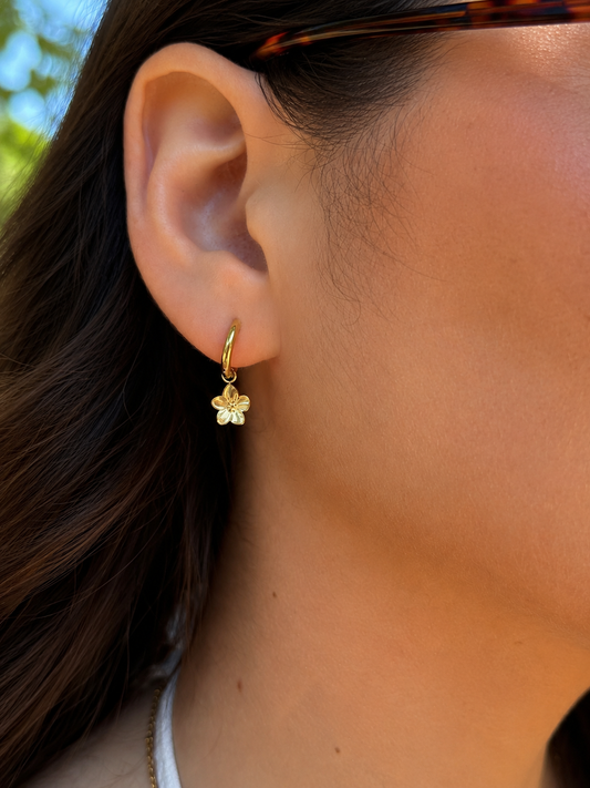✨ Boucles d’oreilles Bloom - Doré ✨