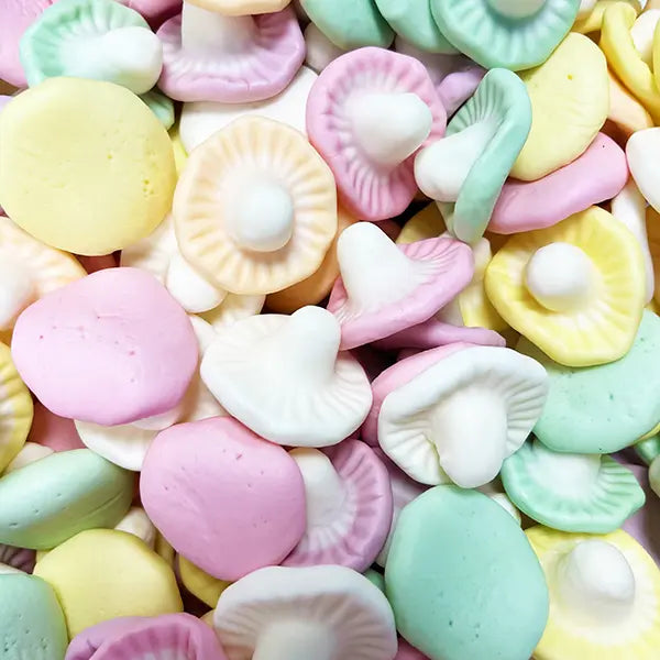 🌸🍭 Champignons Gélifiés 🍭🌸 100g